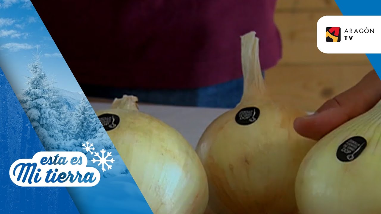 Tiempo de siembra de la cebolla de Fuentes de Ebro