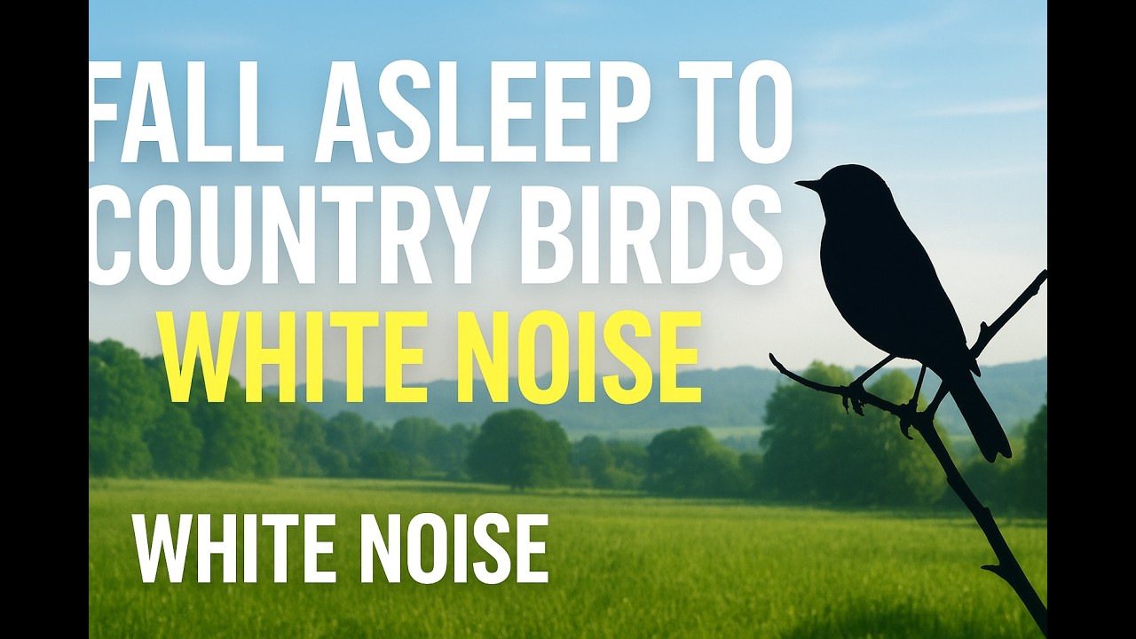 FALL ASLEEP TO COUNTRY BIRDS & WHITE NOISE