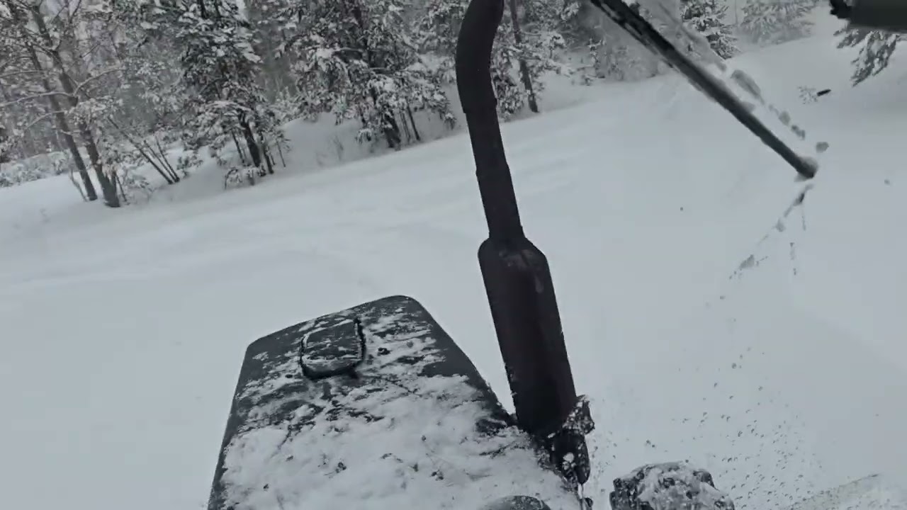 Сибирь январь 2026