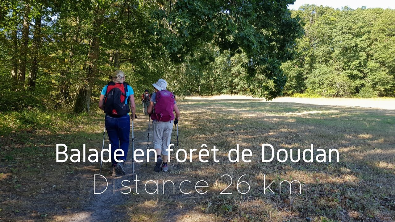 Balade en forêt de Dourdan