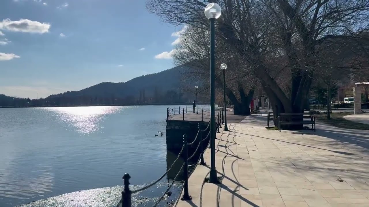 Yazdan Kalma Kış günü - Türkiye, İzmir, Gölcük