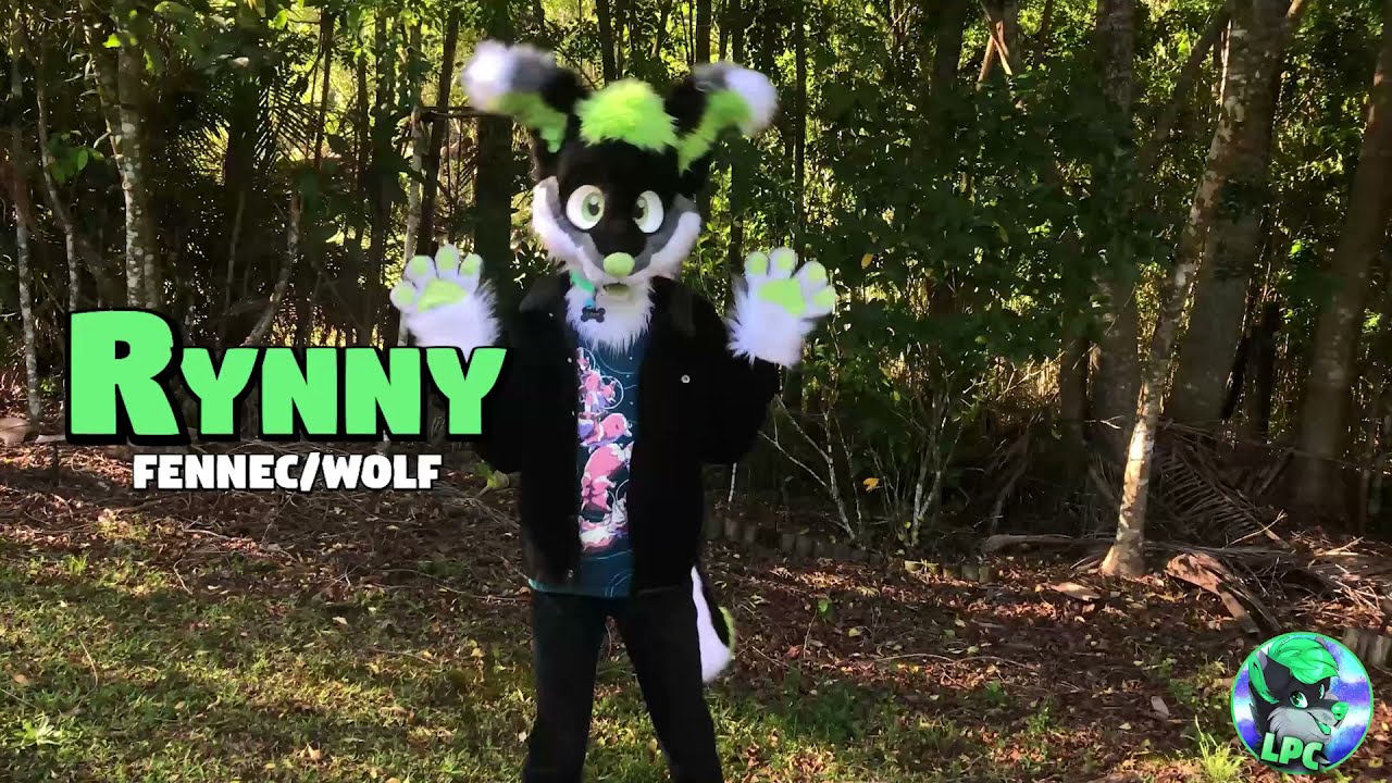 Fursuit Debut - Rynny The Fennec/Wolf