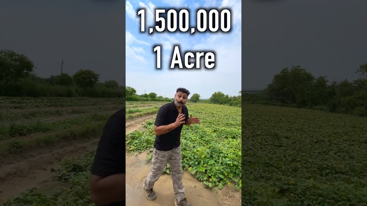 How I vegetableearn 15 lakh per acre