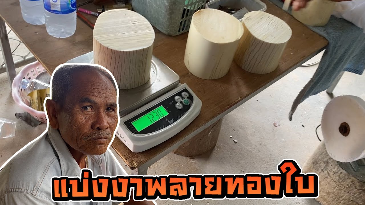 ตาลุนแบ่งงาพลายทองใบให้ลูกหลาน