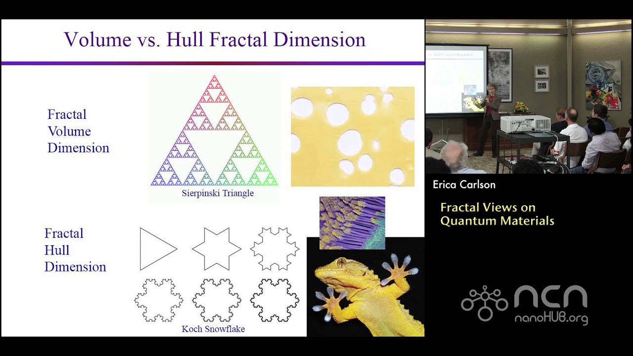 Fractal Views on Quantum Materials