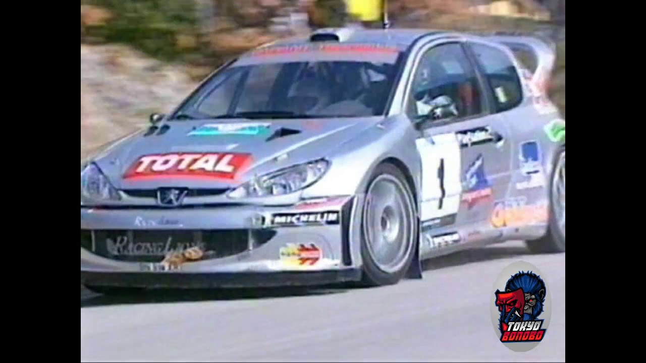 [Peugeot 206 WRC] Rally Ciocco 2002 Action&Onboard