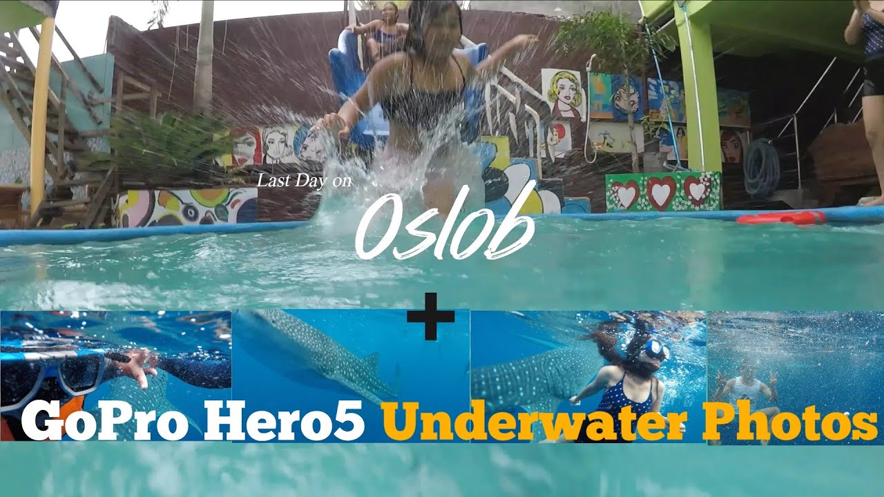 Old GOPRO HERO 5 as UNDERWATER PHOTO Camera + Last day  Vlog on Oslob Roadtrip