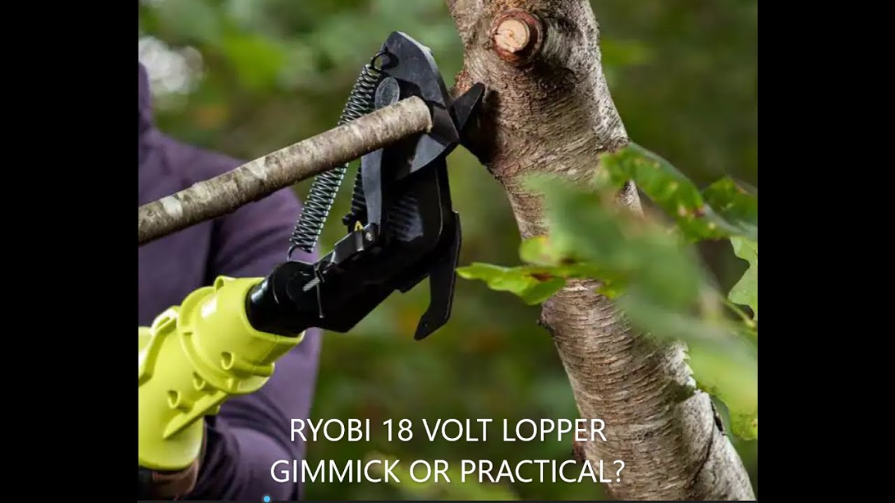 RYOBI Model P4363 18 Volt LIMB LOPPER...Worth the money?