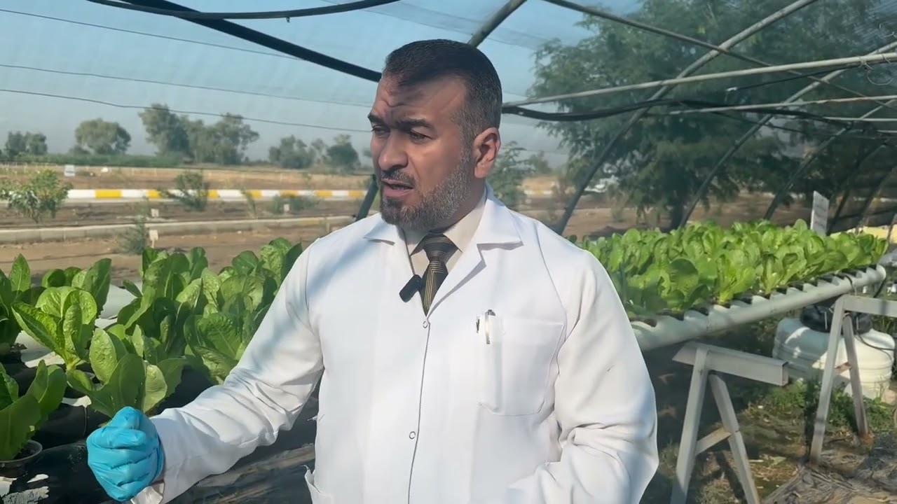 كلية الزراعة /   والزراعة بدون تربة (الزراعة المائية)