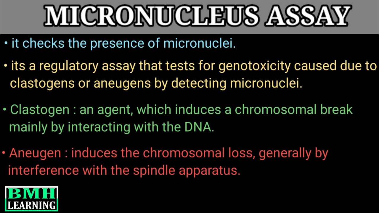 Micronucleus Assay | In Vitro Micronucleus Assay | In Vivo Micronucleus Assay |