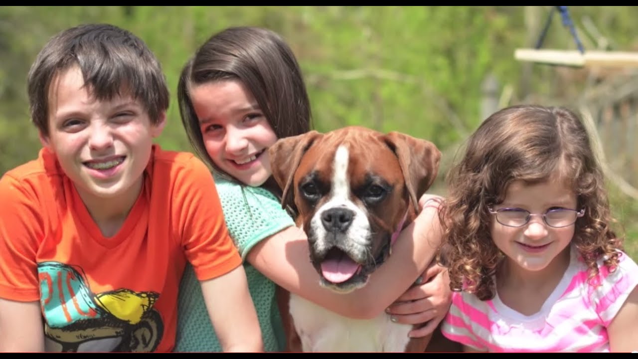 Bratayley || Happy