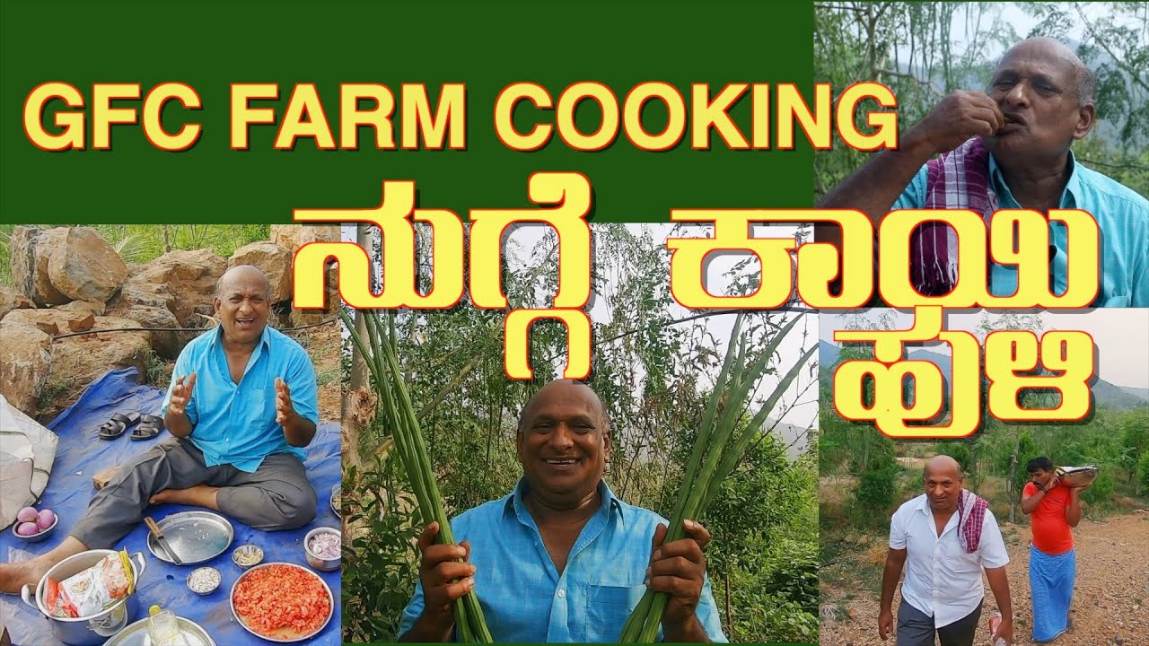 GFC Nugge kaayi Huli Ep - 23 Village Cooking at Jalli palya farm#gfchotel#manemanebadoota#biryani