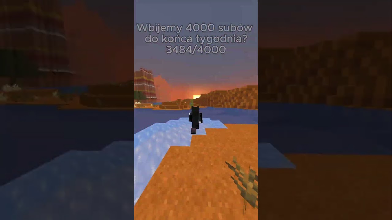 Biegnę dop&oacute;ki nie znajdę borderu!