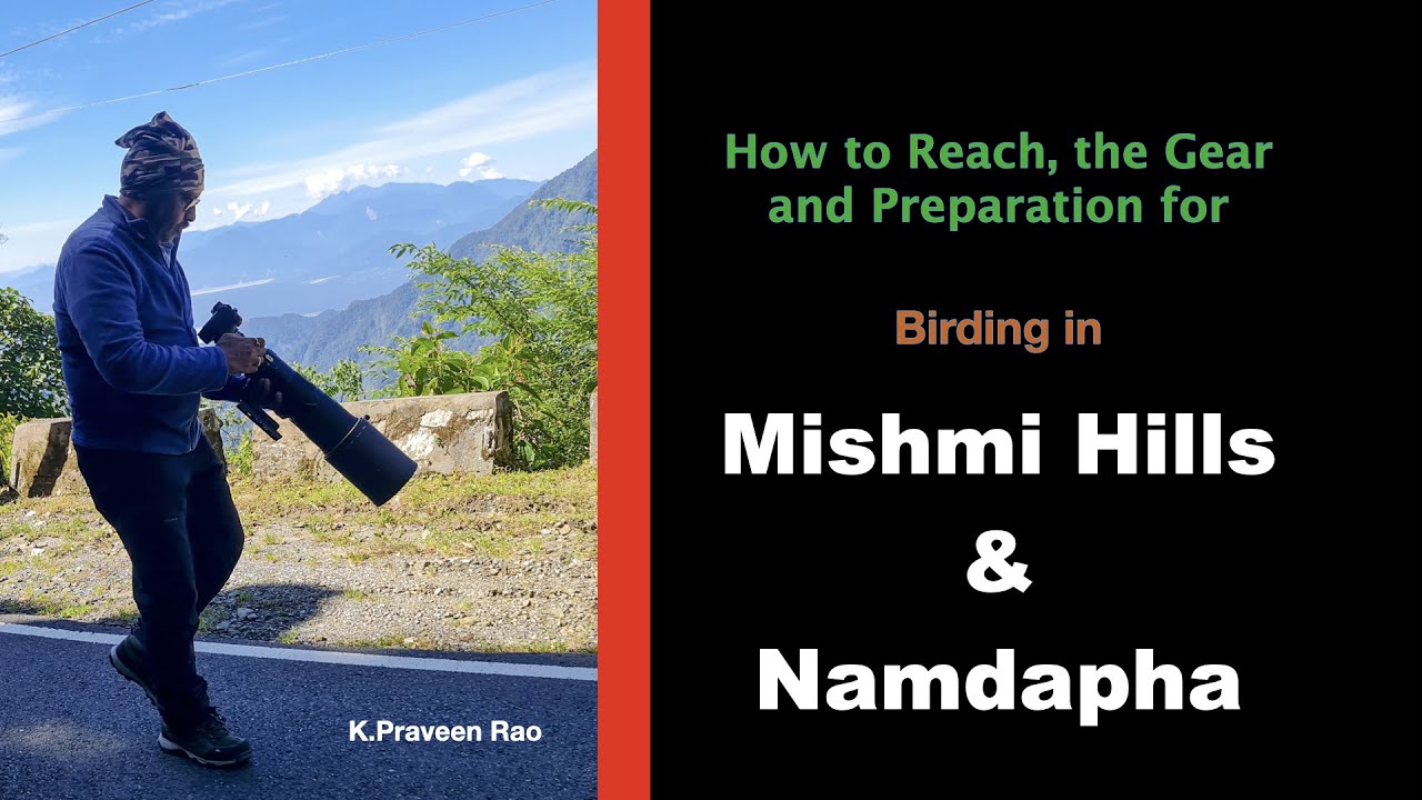 How to Reach, the Gear and Stay for Birding in  Mishmi Hills & Namdapha