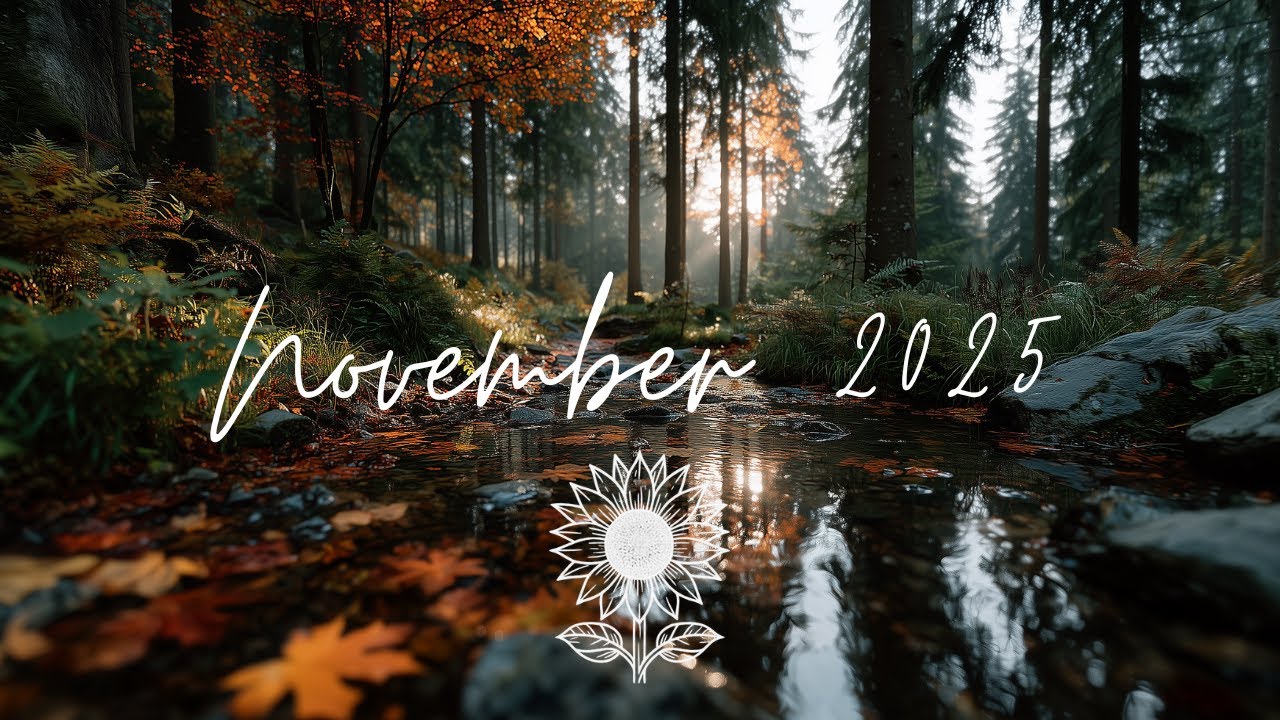 November 2025 Playlist 🍂 | 2h Indie Pop/Folk Music for Cozy Days & Autumn Reflections