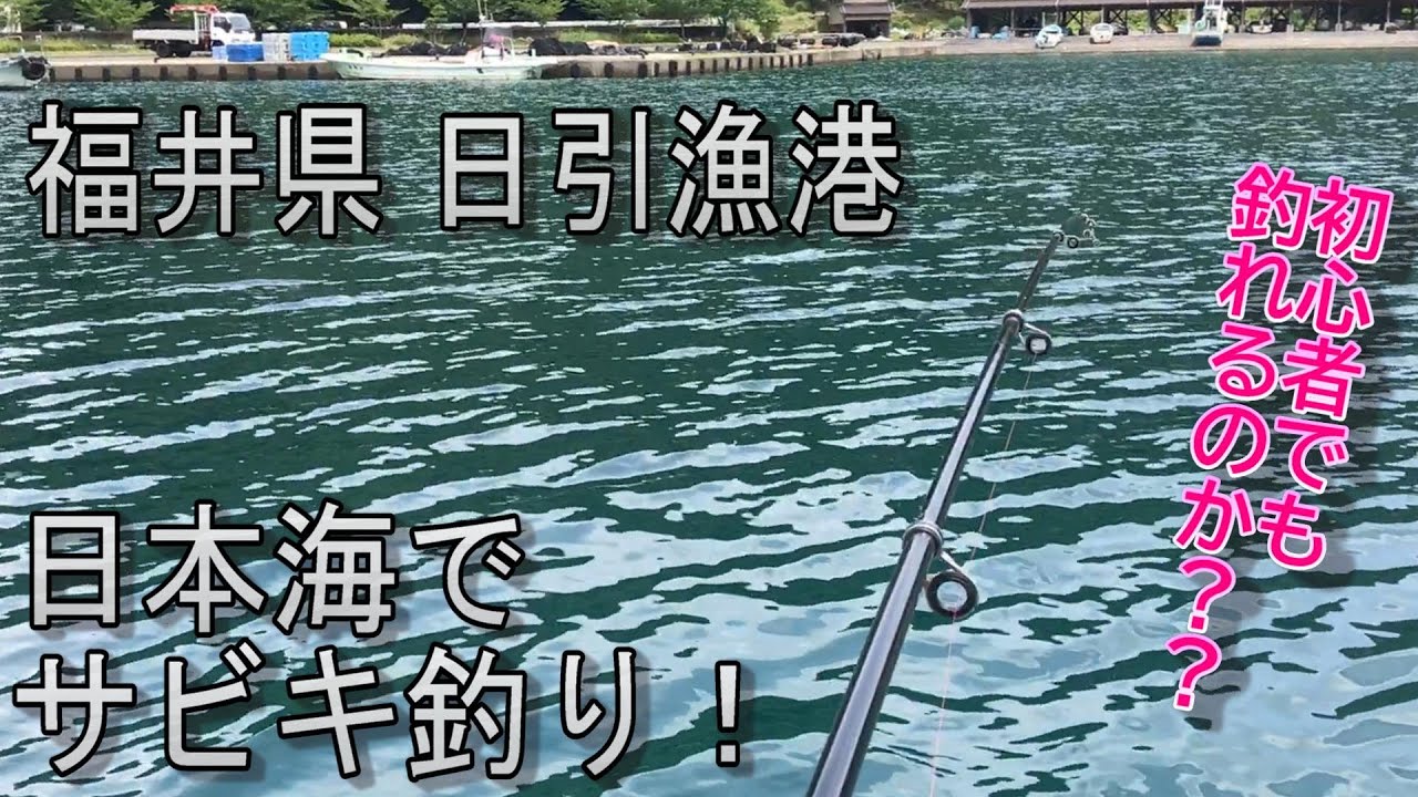 ●福井県 日本海でのサビキ釣り！ 【日引漁港】