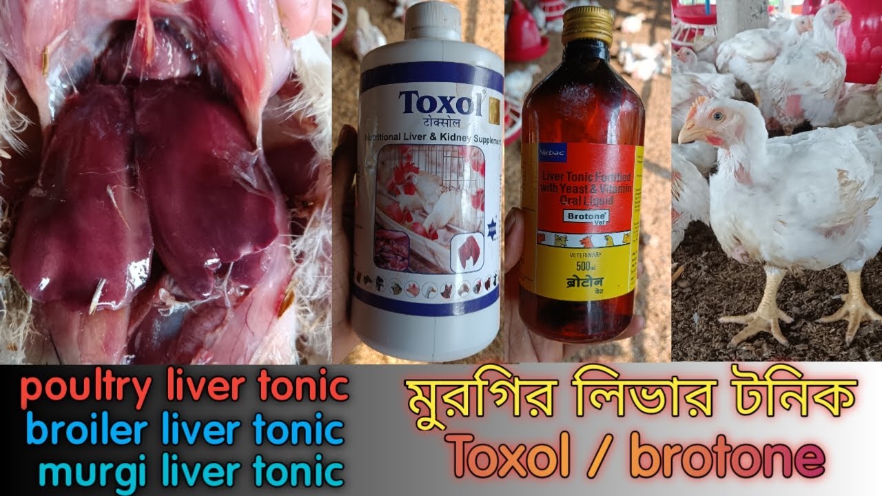Liver Tonic/ poultry liver tonic/ broiler liver tonic/ murgi liver tonic/ toxol liver tonic/ brotone