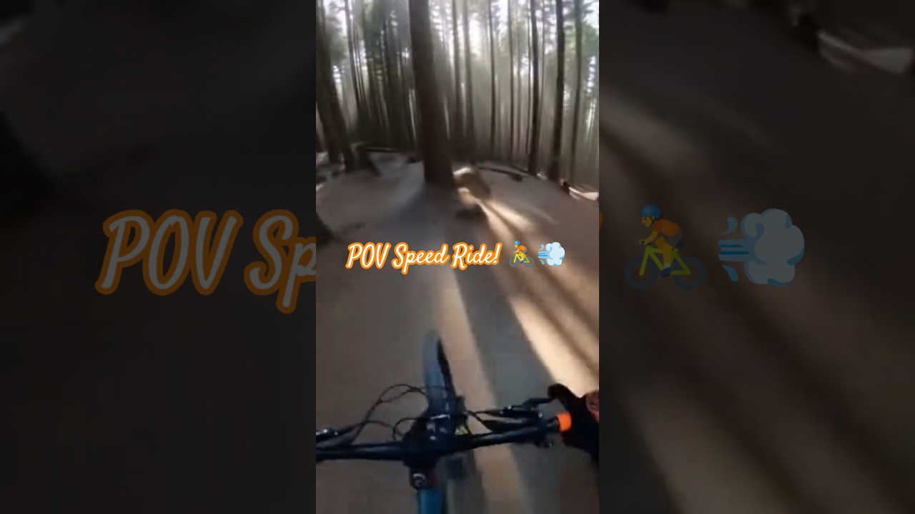 Insane POV Speed Ride! 🚴💨 Lost in an Endless Pine Forest 🌲🔥#short,#bike#youtubeshorts