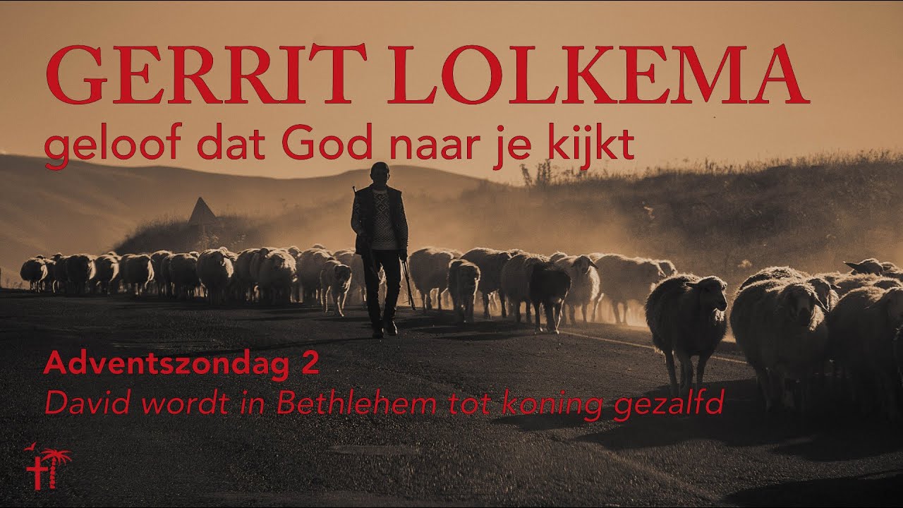 Gerrit Lolkema - 