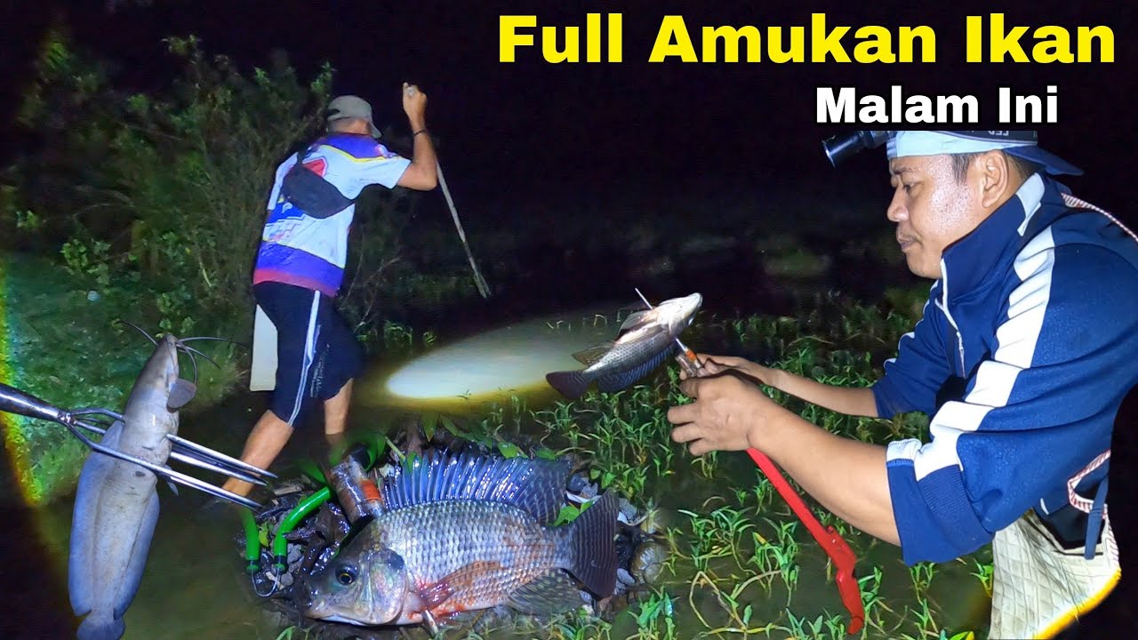 IKANNYA BANYAK Rawa - Rawa Dalam Hutan Full Ikan Mengamuk