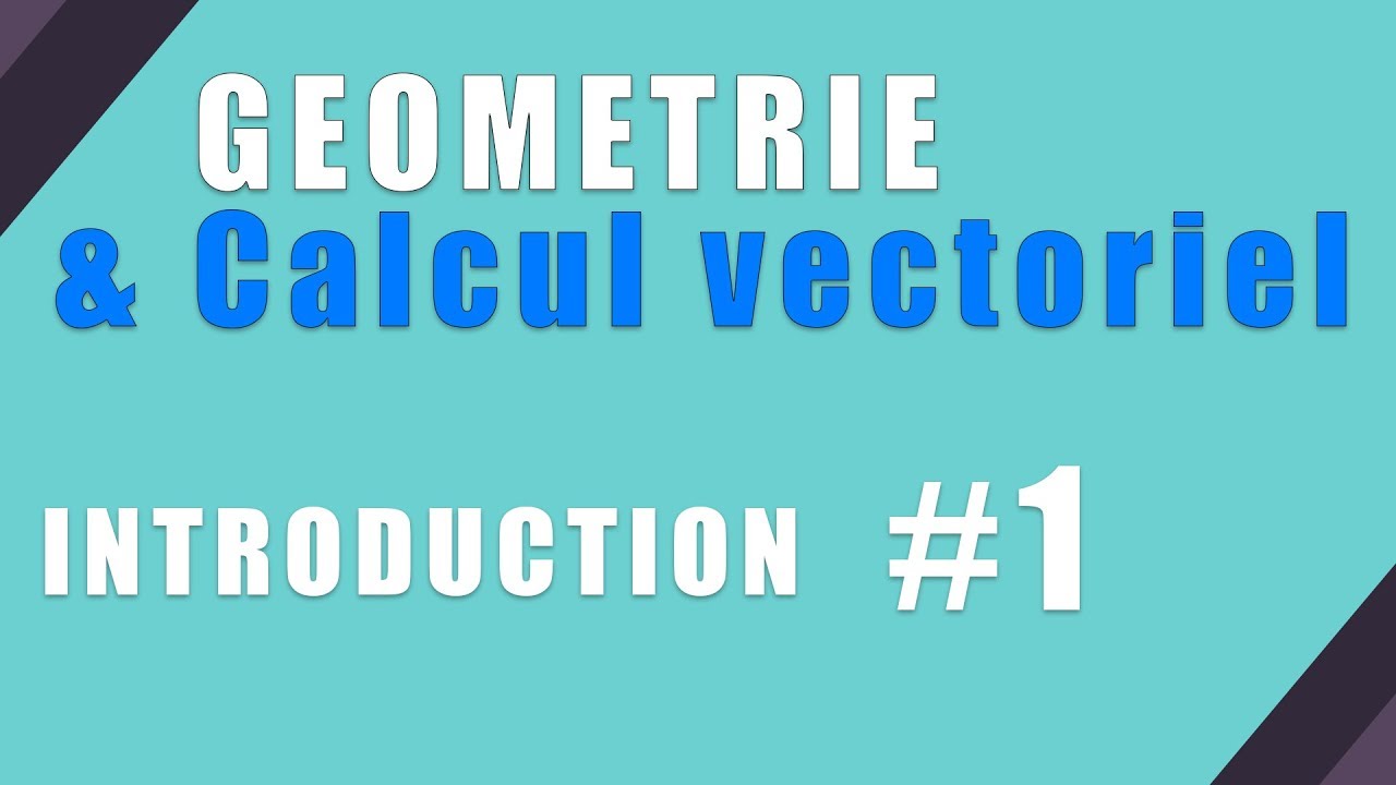 G&eacute;om&eacute;trie & Calcul vectoriel (1)