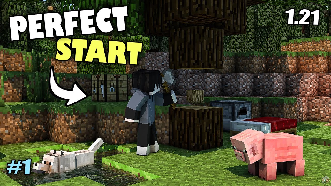 This Might Be the Perfect Minecraft World... | 1.21 Survival Begins!