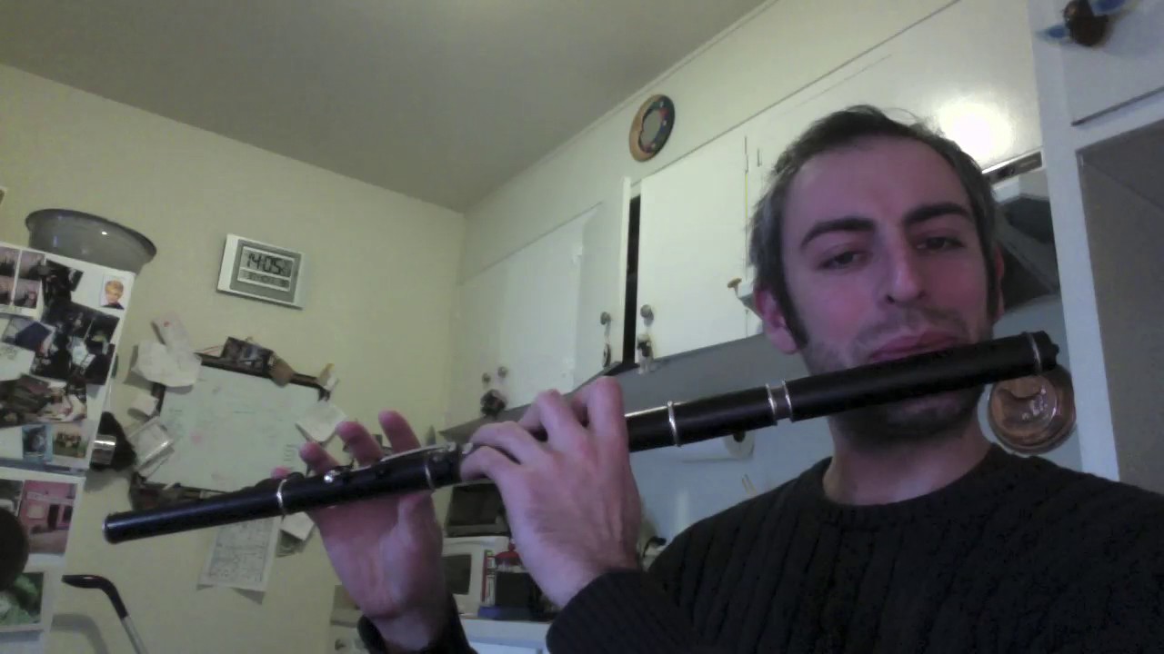 Tenpenny Bit - Irish Flute - slow/fast