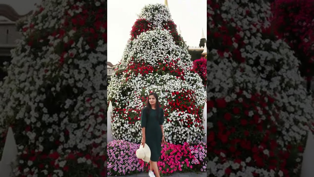 Miracle Garden #trending#shorts#photography#reels#travel#dubai#amazing#dance#photography #kachabadam