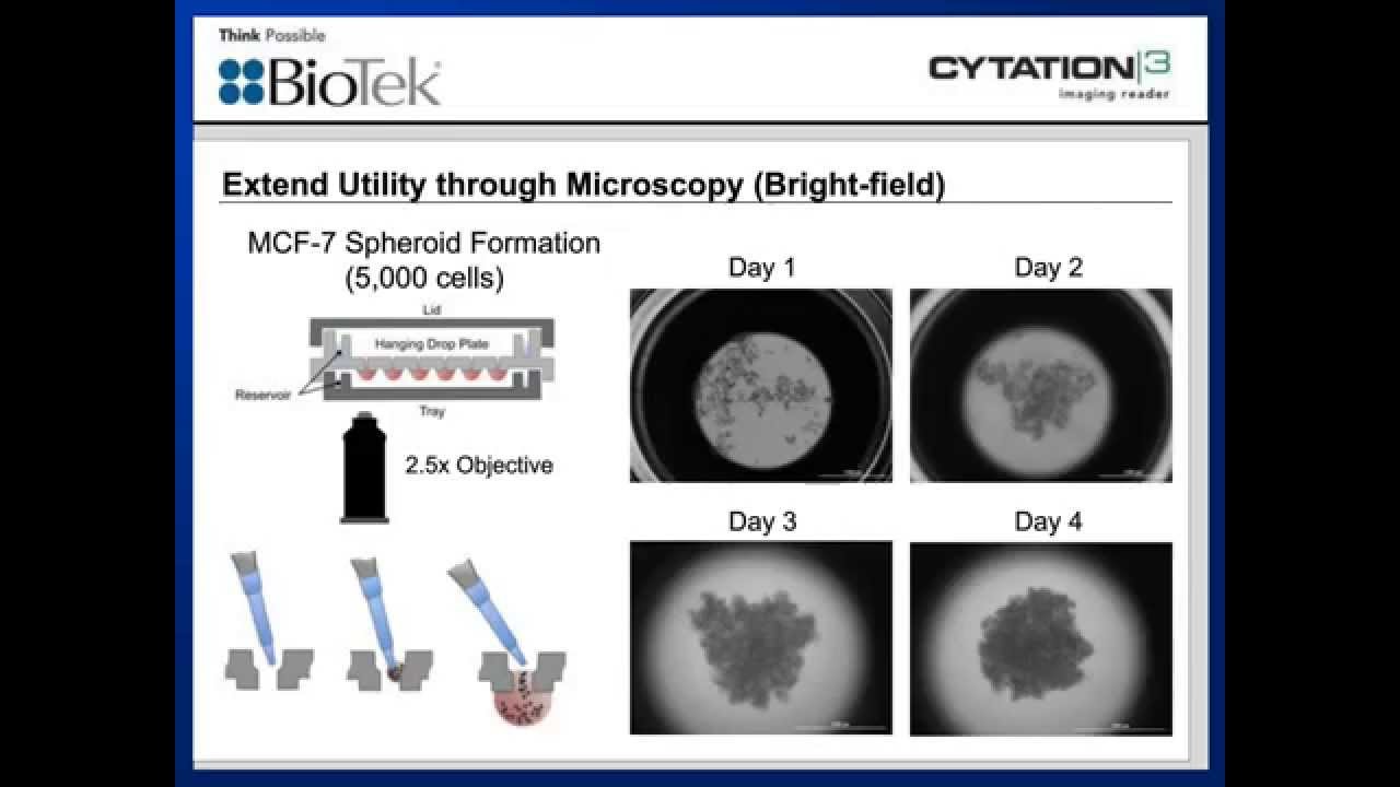 Cell Culture Techniques