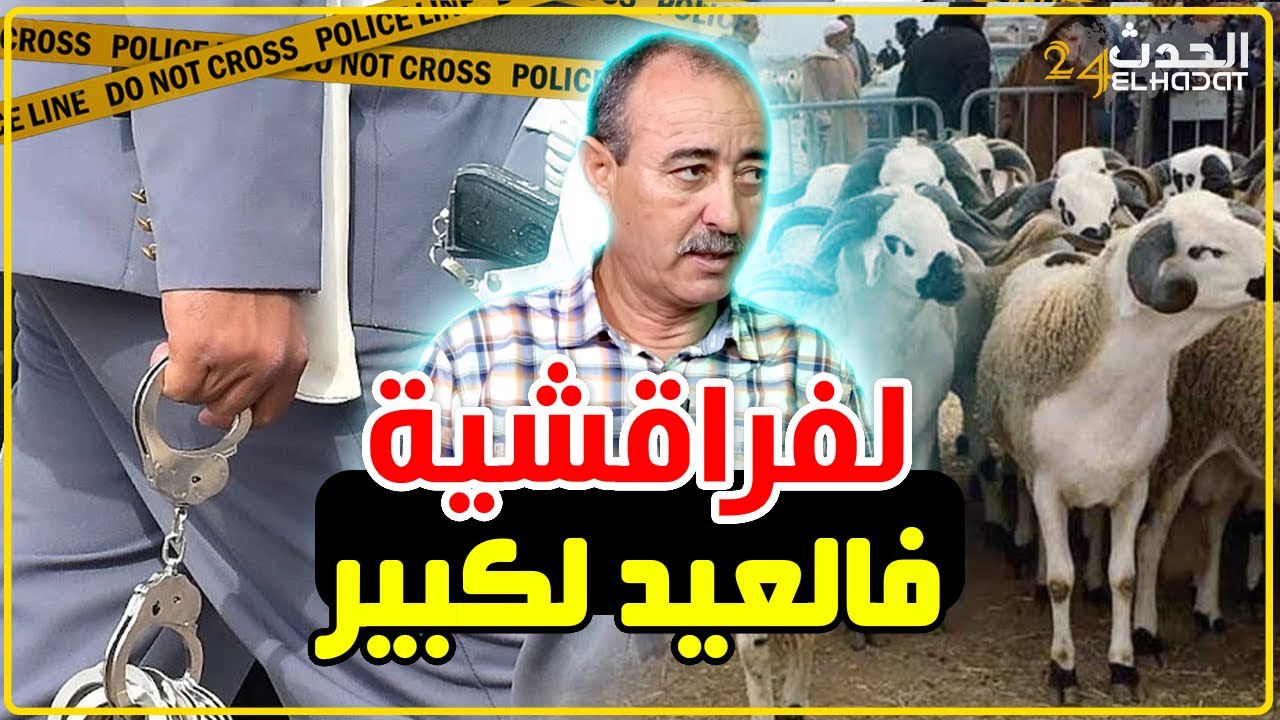 الطاهر سعدون..لفراقشية فالعيد لكبير..سرق أعلى جودة من الغنم و كيفاش غدي نشدوهم فالسوق...
