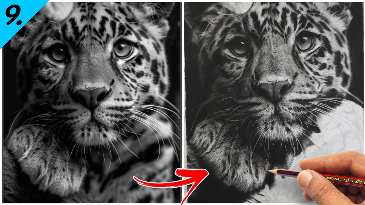 Drawing Hyper Realistic Leopard - Real-time Shading Part - 9