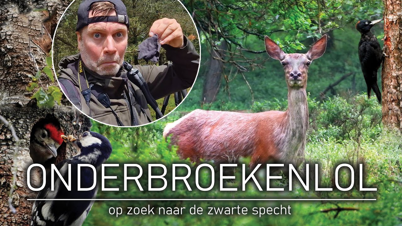 #68 - ONDERBROEKENLOL - op zoek naar de zwarte specht