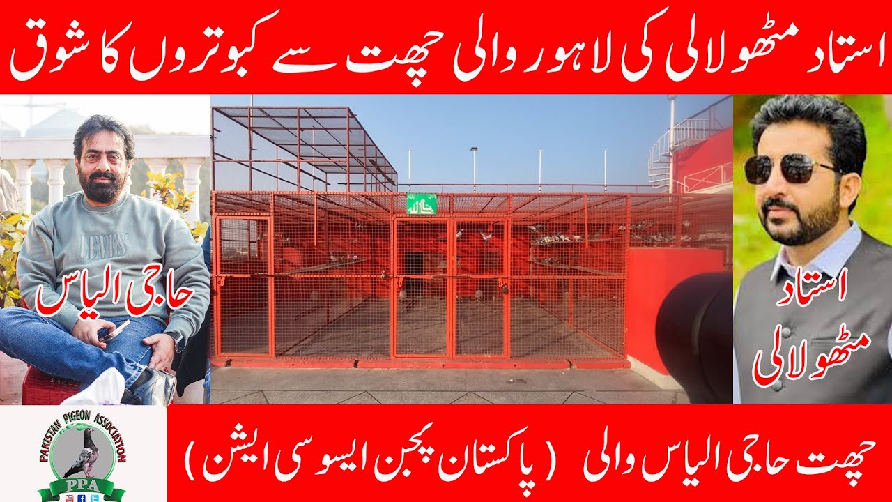 Exclusive Video From Ustad Mithu Lali Lahore Loft  Haji Ilyas || Watch In HD || Urdu/Hindi