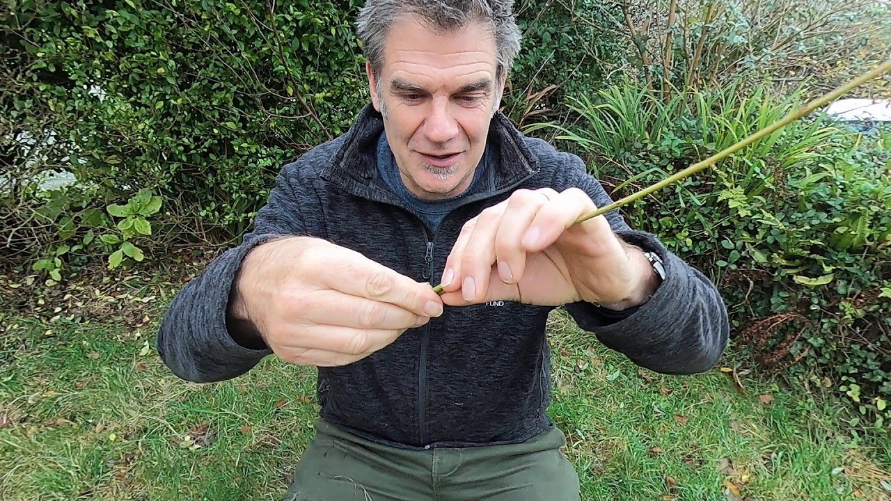 How to make a  simple Christmas tree star from willow.