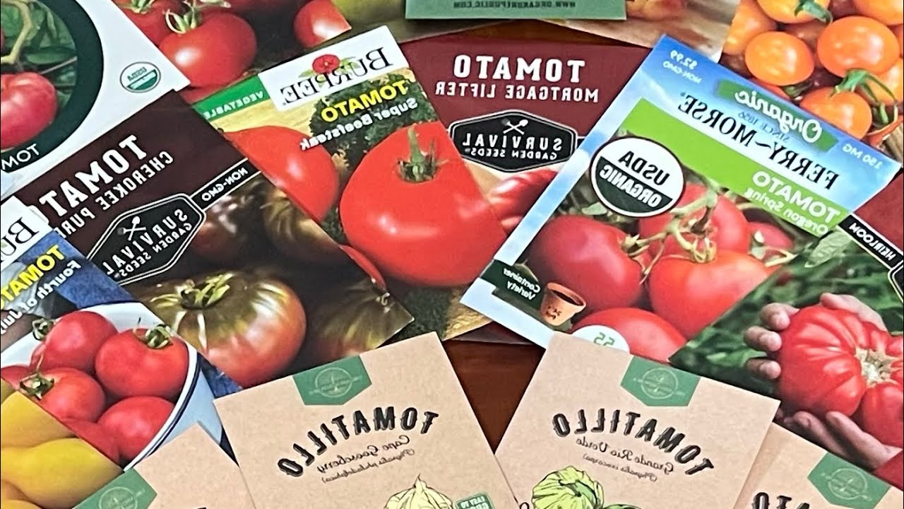 In Search of the Perfect Tomato!