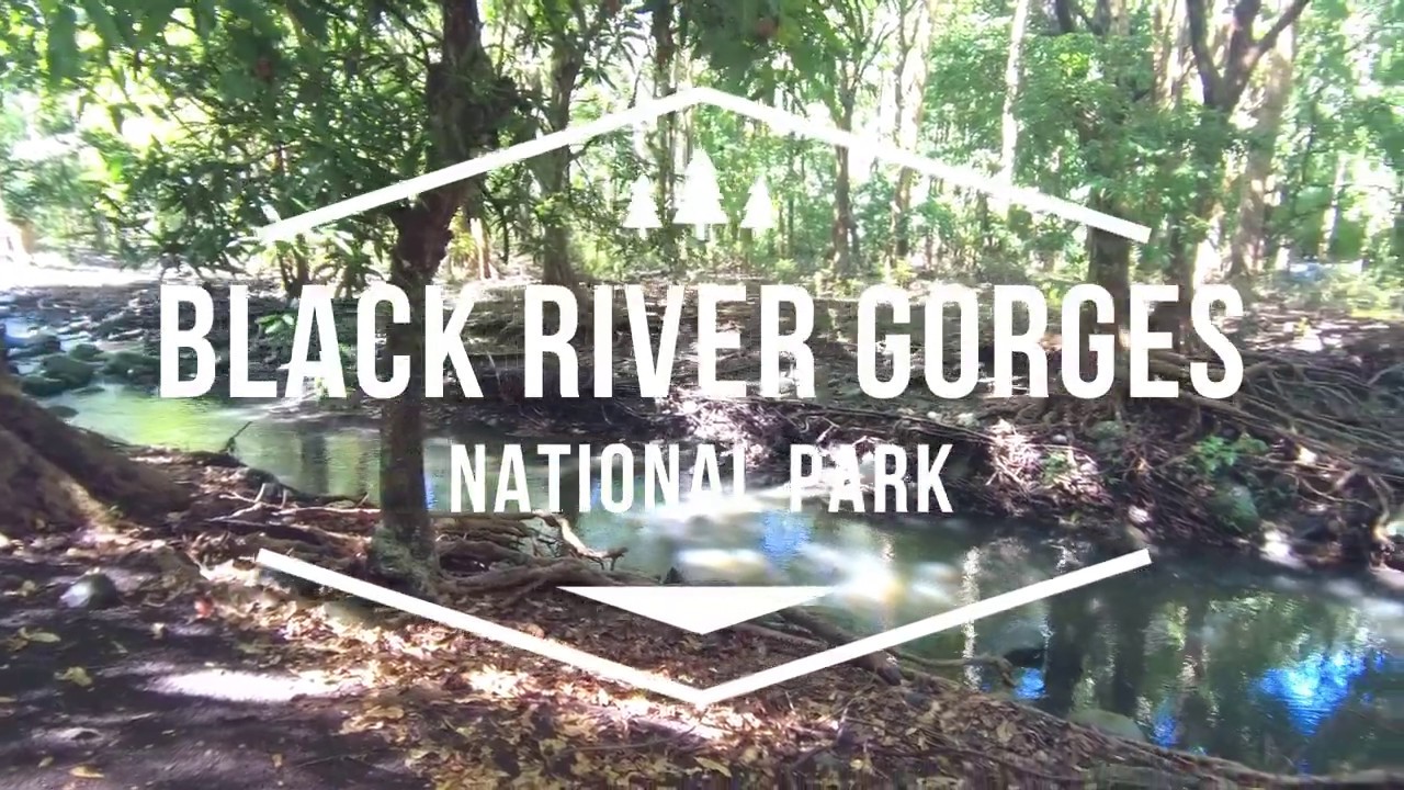 Black River Gorges National Park - Mauritius Island