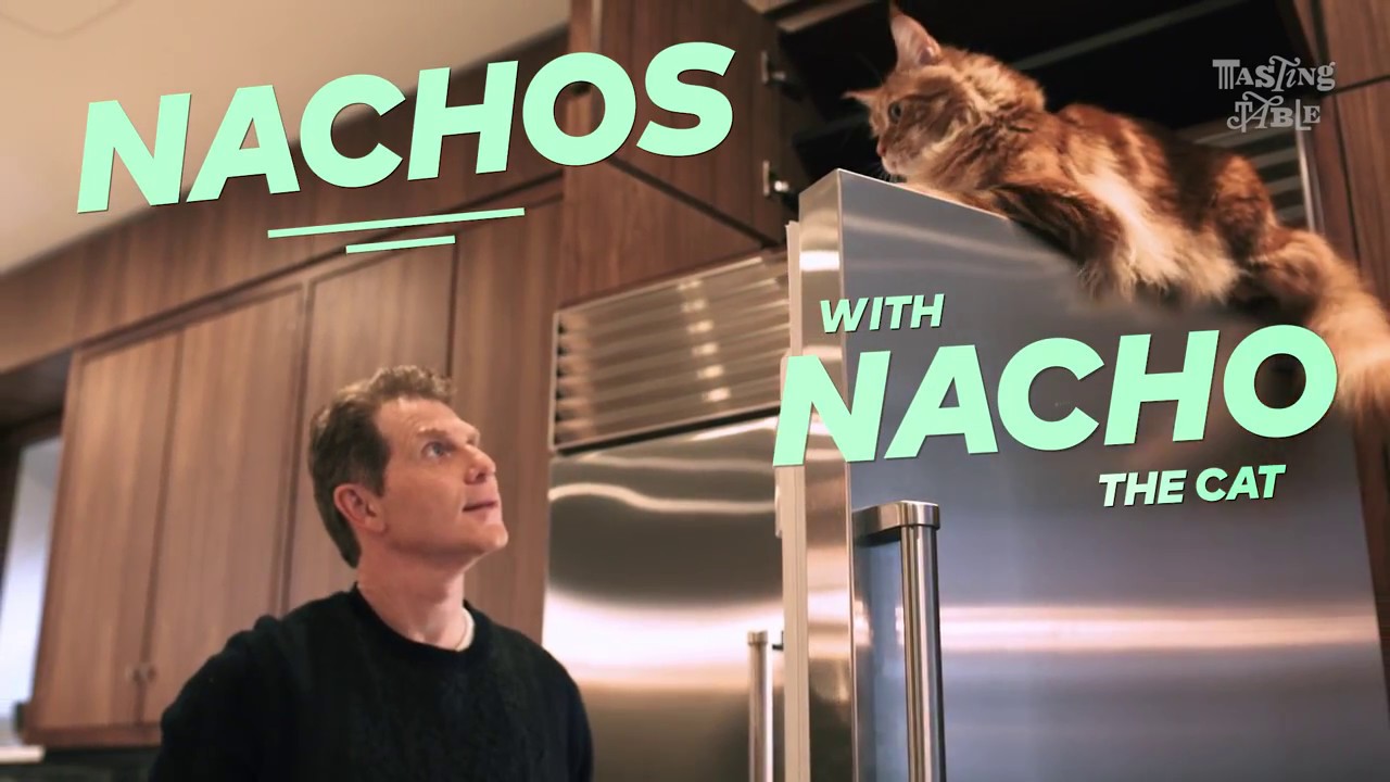 Bobby Flay Creates Super Bowl Nachos with Nacho the Cat | Entertain | Tasting Table