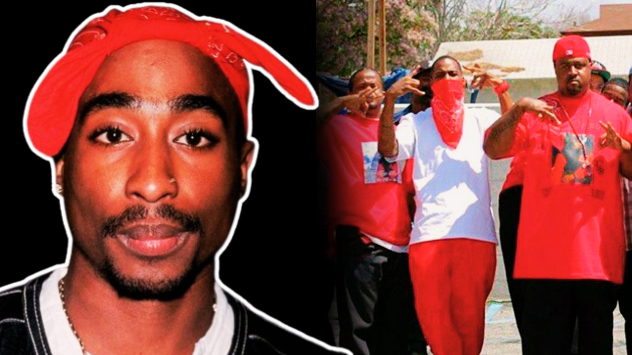 The Story Of The Bloods