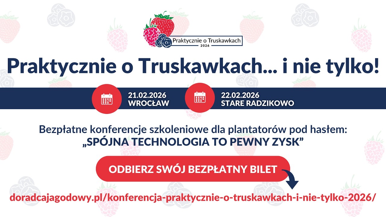 Praktycznie o Truskawkach dlaczego warto wziąć udział w konferencji dla plantatorów?