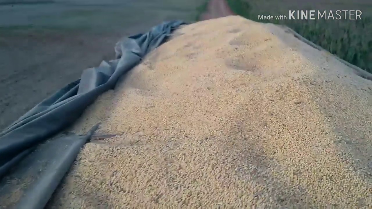...Meu Novo Trabalho - Volvo NL10 Na Caçamba...