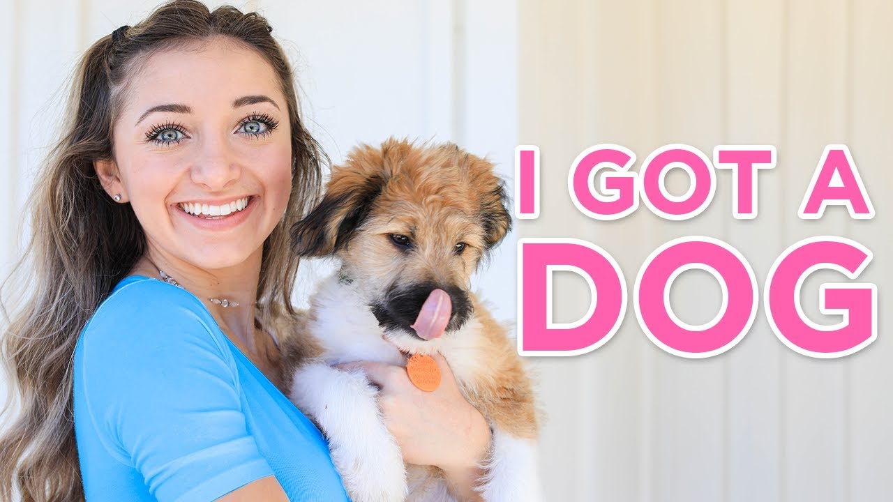 We GOT A PUPPY! | Identical twins get a dog!