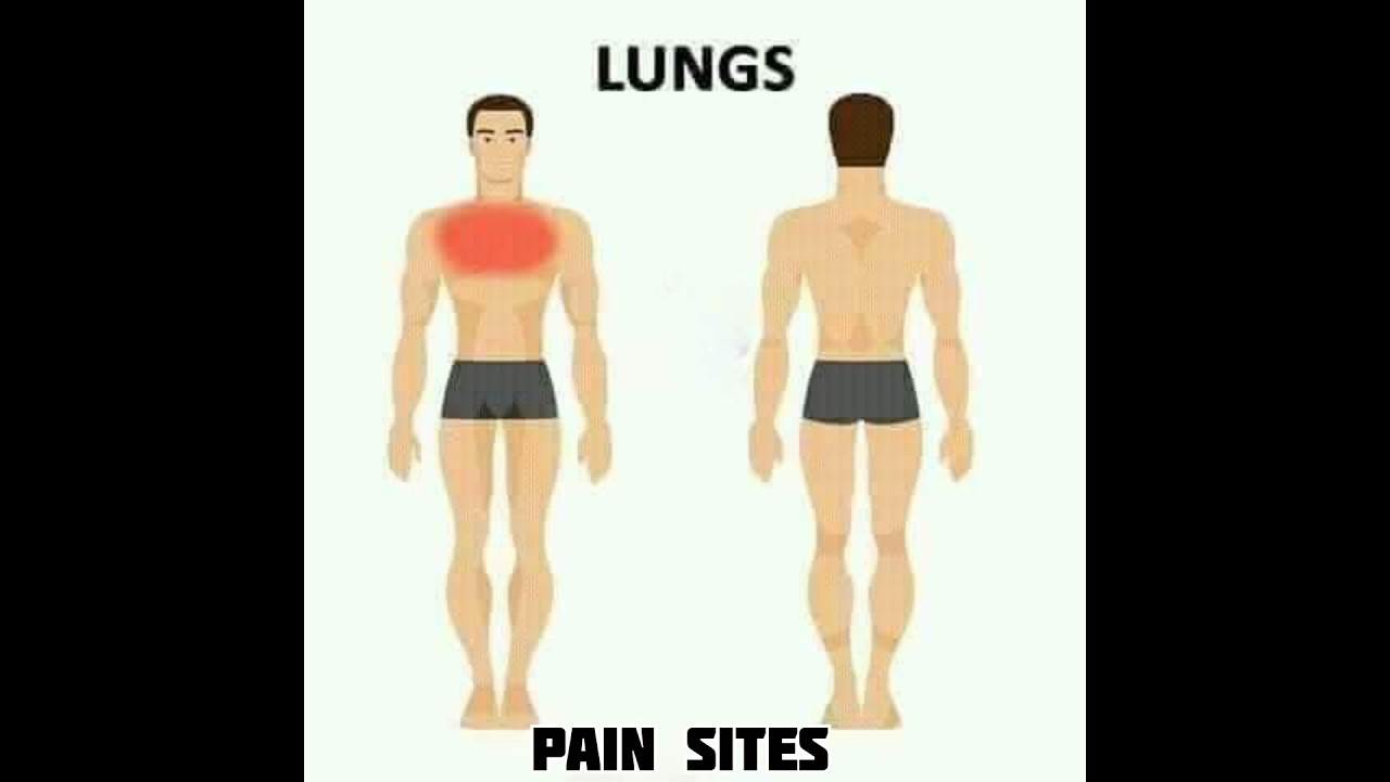 health related video || health care video #health #releted #video #health #care #video #shorts#trend