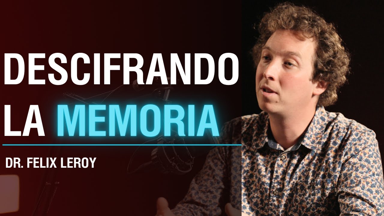 La Sorprendente Conexi&oacute;n entre Memoria, Comportamiento Social, Tomar Decisiones y la Agresi&oacute;n.
