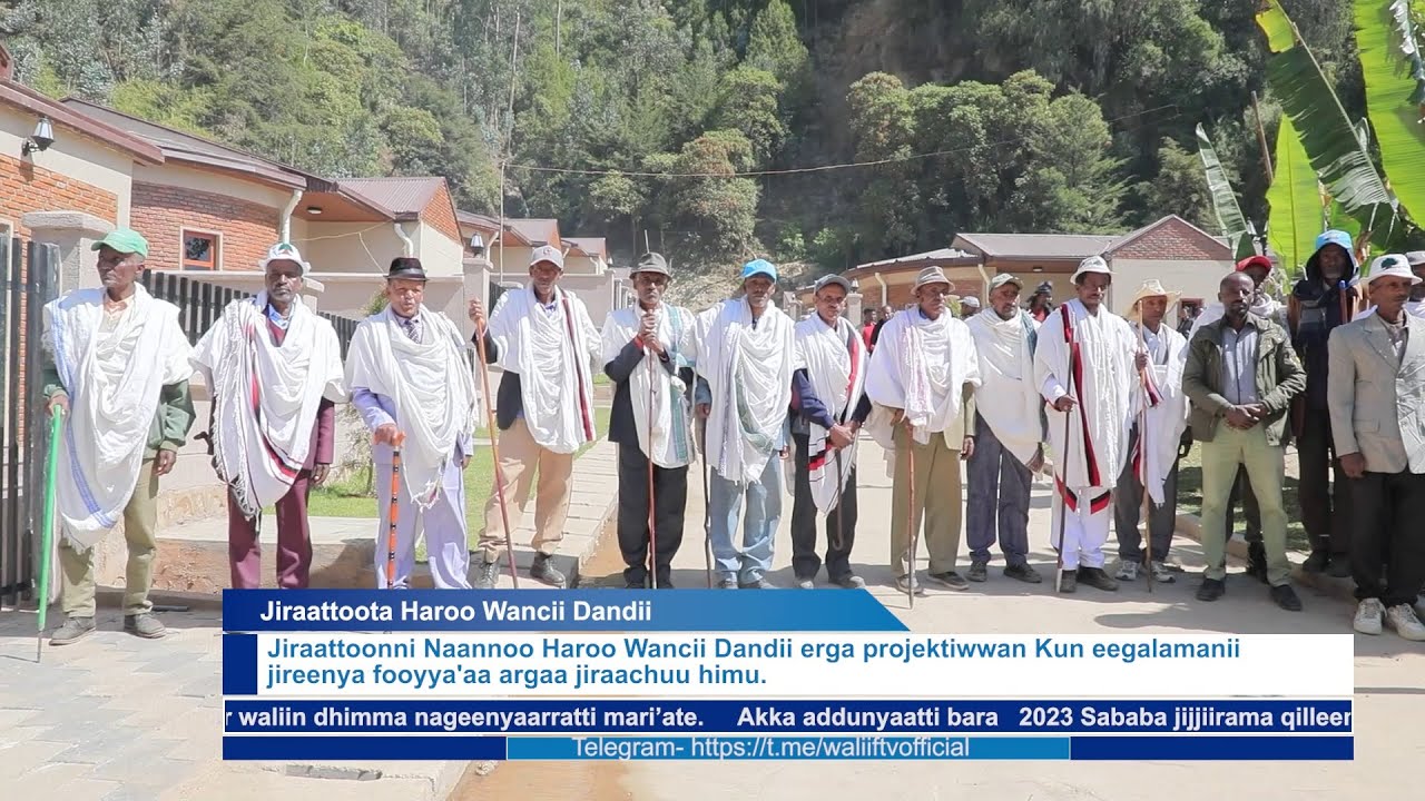 Jiraattota Haroo Wancii Dandii (Mudde ,25,2023) Finfinnee.