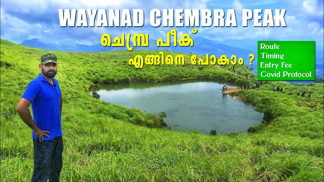 Chembra Peak Trip Plan | How to go Wayanad Chembra Peak | Wayanad Chembra Peak | Chembra Trekking