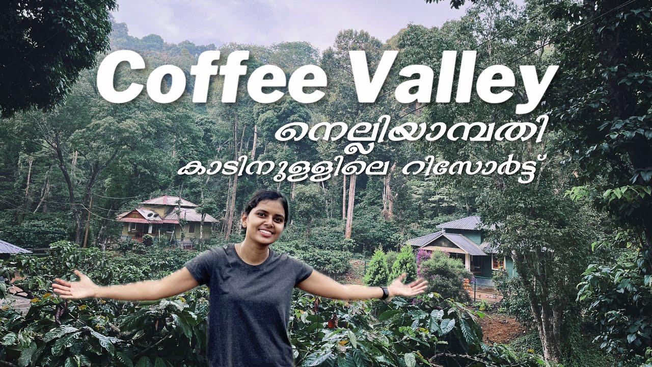 Coffee Valley Resort Nelliyampathy | Budget friendly  Stay Inside Forest  | Thamburankadu  |