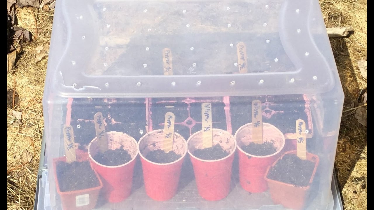 How To Make a Mini-Greenhouse!