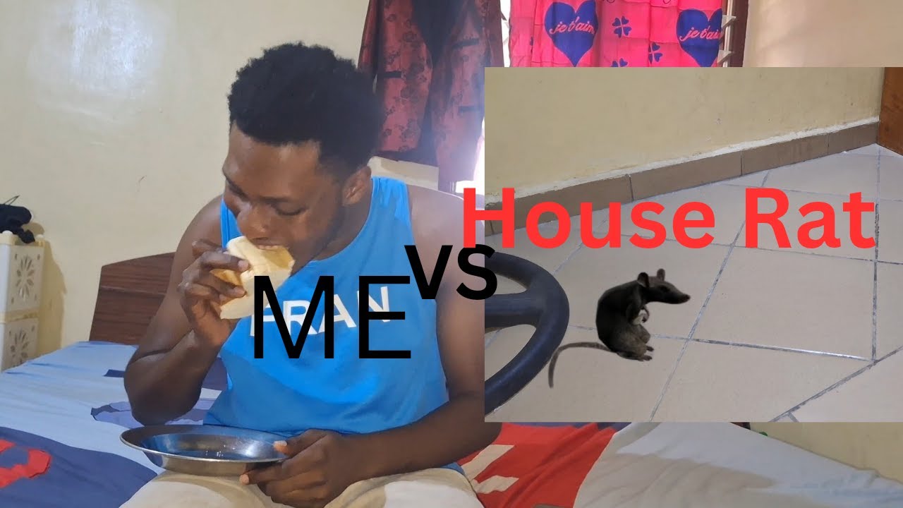 when you forget there's a big rat in your house