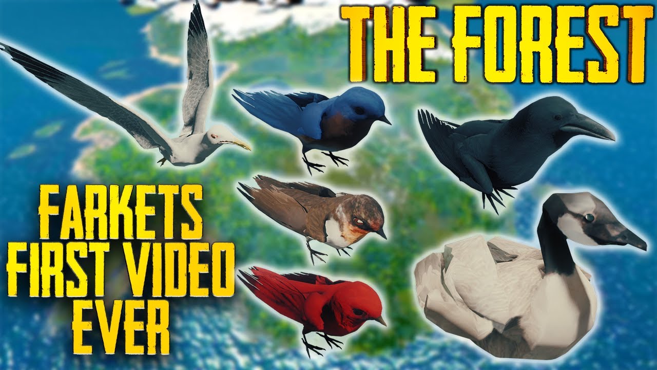Farket's Very First Video - How To Get Feathers REUPLOAD | The Forest