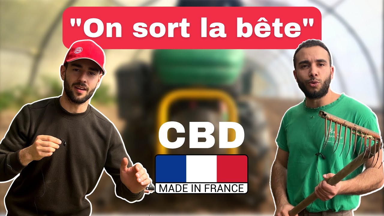 CULTIVER DU CBD EN FRANCE - 2) ON PR&Eacute;PARE LE TERRAIN
